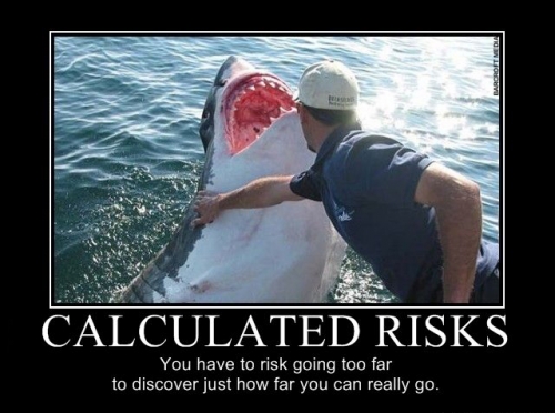 calculated-risks